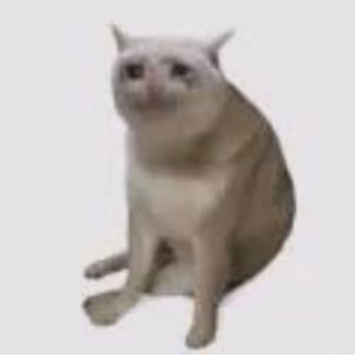 BABYCASHCAT