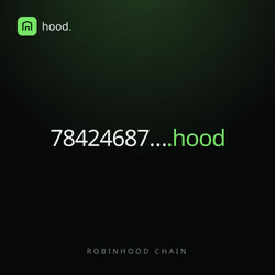 78424687….hood