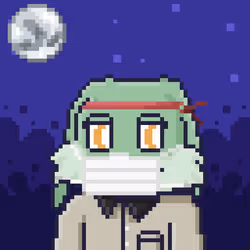 646
