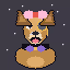 Hashdog #218