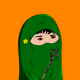 NIQABIO #3936