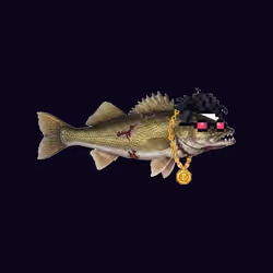 FEESH #1348
