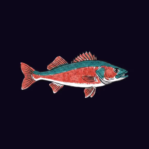 FEESH #0937