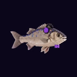 FEESH #0188