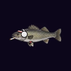 FEESH #0325