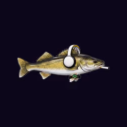 FEESH #0334