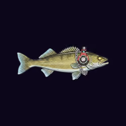 FEESH #0658