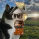 PonsGuy #9825