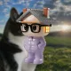 PonsGuy #7505