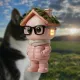 PonsGuy #8841