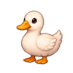 Duck · Common