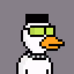 Ok Ducks #1