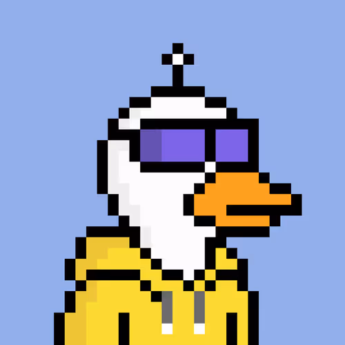 Ok Ducks #13
