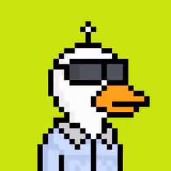 Ok Ducks #3