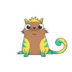 Crypto Cat #1675221