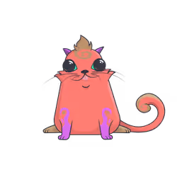 Crypto Cat #1716941