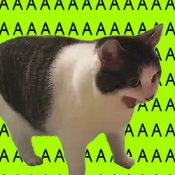 AAAAAAAAAAAAAAAAAAAA