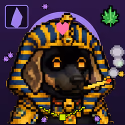 CannaDogs