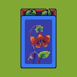 Item Media