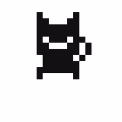 Rare Kitten #987