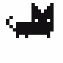 Rare Kitten #205