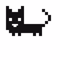 Rare Kitten #049