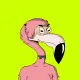 Ro Flamingos #365