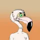 Ro Flamingos #14