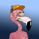 Ro Flamingos #667