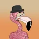 Ro Flamingos #69