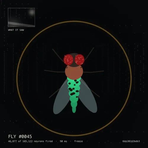 Item #45 Media
