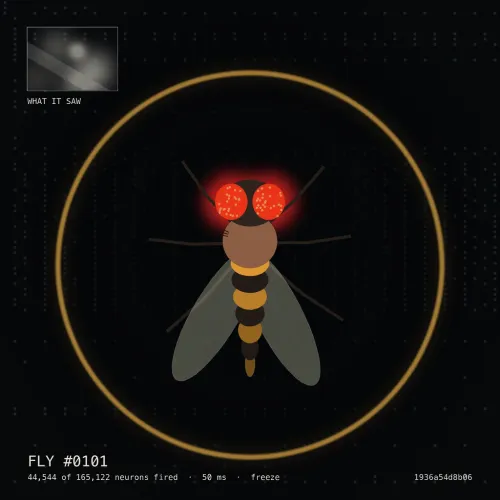 FLYNFT #0101