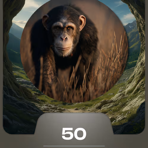 #6482