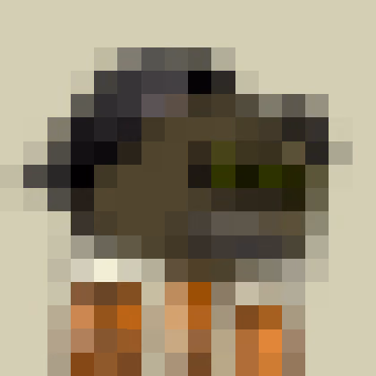 Item #555 Media