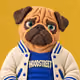 Pugz #0172 — Hoodstreet