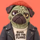 Pugz #1839 — Rugs Are For Floors