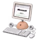 240