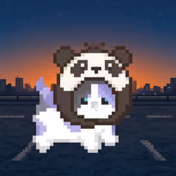 Item Media