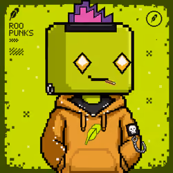 ROOPUNK #2105