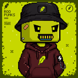ROOPUNK #1388