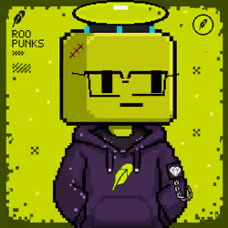 ROOPUNK #2047
