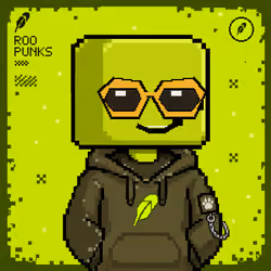 ROOPUNK #1763