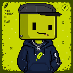 ROOPUNK #2117