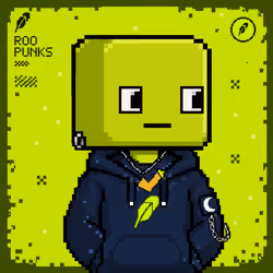 ROOPUNK #1920