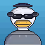 HashDuck #594