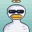 HashDuck #1216