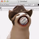 PopHoodCat #4638