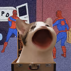 PopHoodCat #3195