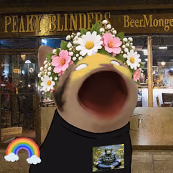 PopHoodCat #8823