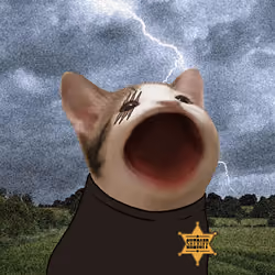 PopHoodCat #2324